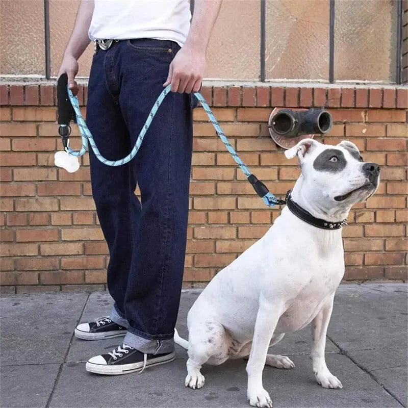 Reflective Dog Leash with Comfortable Padded Handle – Heavy Duty Training Lead