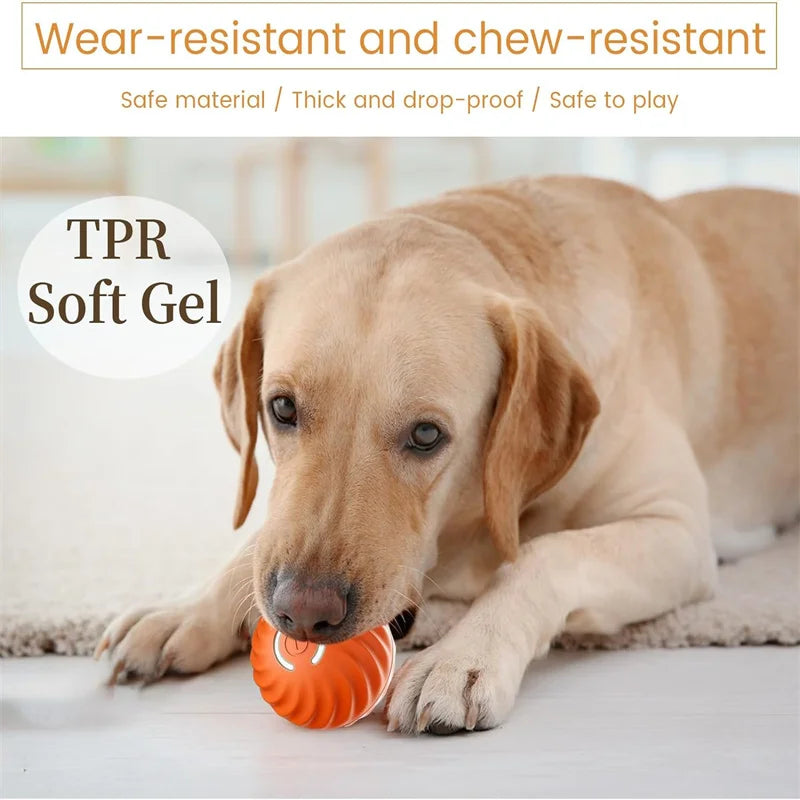 Interactive Automatic Rolling Ball for Dogs & Cats – USB Rechargeable Smart Pet Toy
