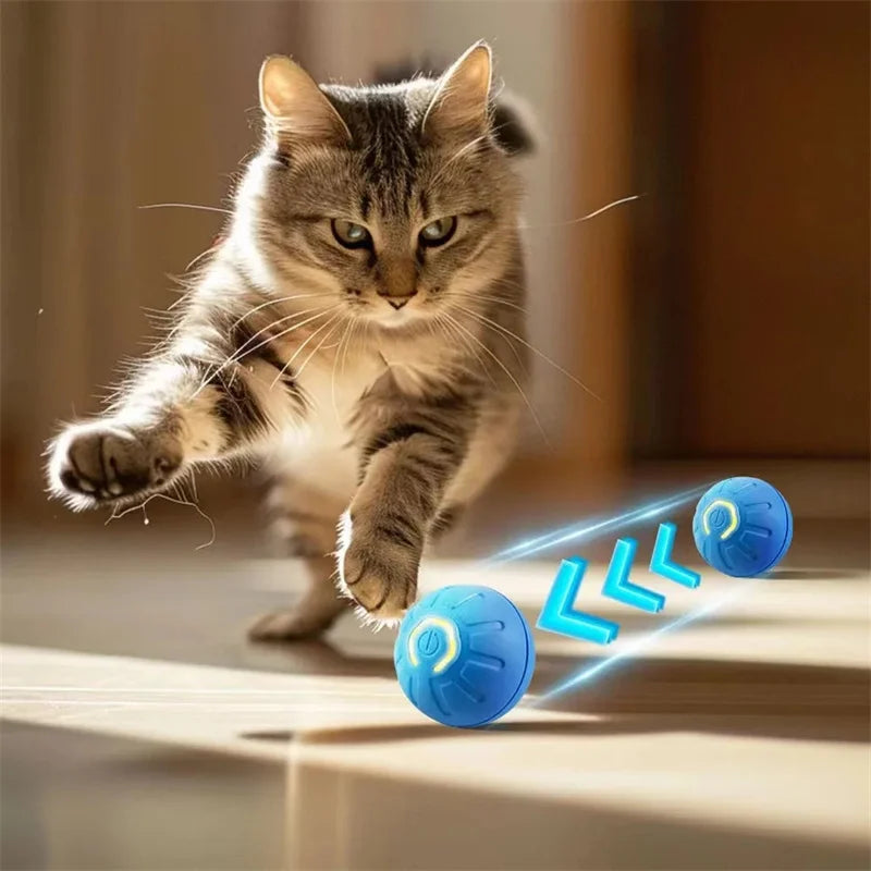 Interactive Automatic Rolling Ball for Dogs & Cats – USB Rechargeable Smart Pet Toy